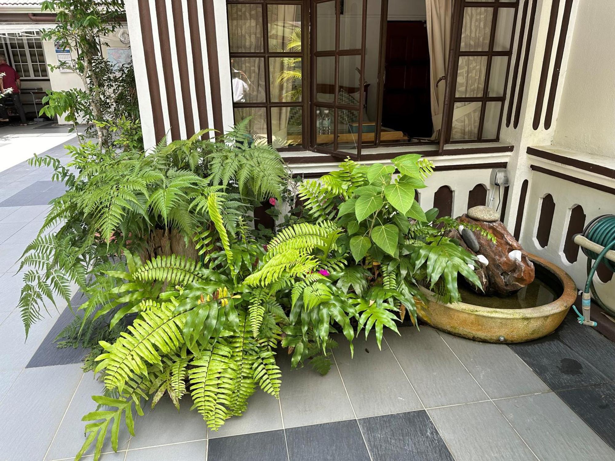 Hickory Penang Hill Hotel Ayer Itam Ngoại thất bức ảnh